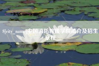 绥化中国消防救援学院简介及招生章程