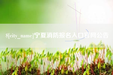 绥化宁夏消防报名入口官网公告