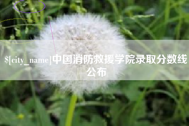 绥化中国消防救援学院录取分数线公布
