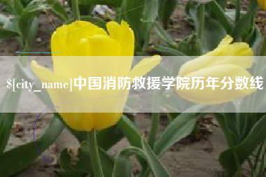 绥化中国消防救援学院历年分数线