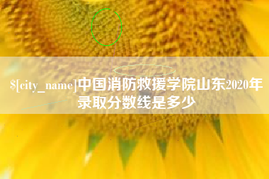 绥化中国消防救援学院山东2020年录取分数线是多少