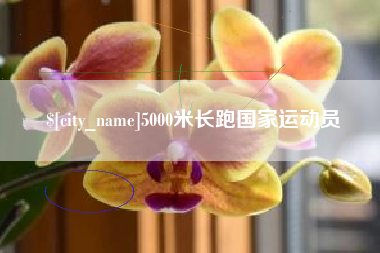 绥化5000米长跑国家运动员