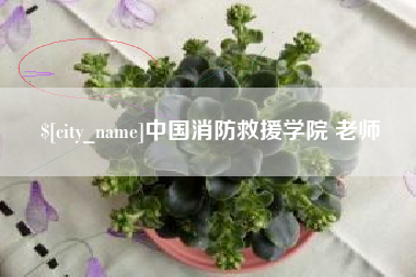 绥化中国消防救援学院 老师
