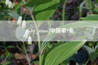 绥化中国第9金