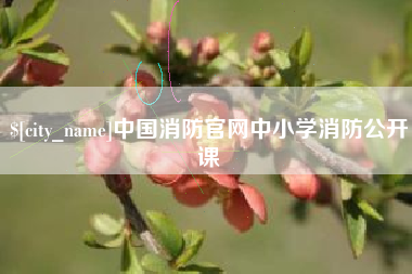 绥化中国消防官网中小学消防公开课
