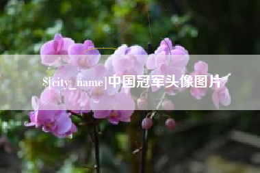 绥化中国冠军头像图片