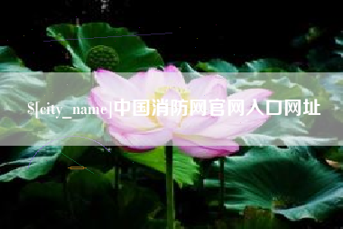 绥化中国消防网官网入口网址