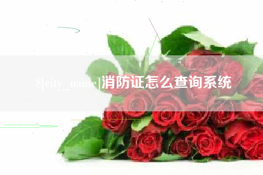 绥化消防证怎么查询系统