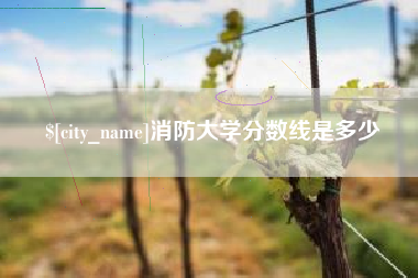 绥化消防大学分数线是多少