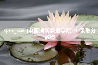 绥化中国消防救援学院2019录取分数线