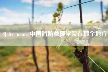 绥化中国消防救援学院在那个地方