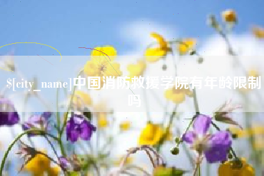 绥化中国消防救援学院有年龄限制吗