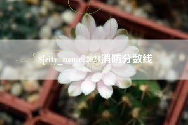 绥化2021消防分数线