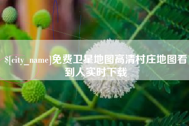 绥化免费卫星地图高清村庄地图看到人实时下载