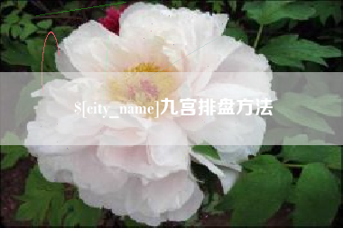绥化九宫排盘方法