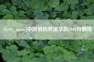 绥化中国消防救援学院2018分数线