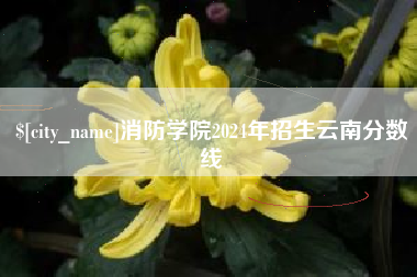 绥化消防学院2024年招生云南分数线