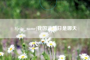 绥化我国消防日是哪天