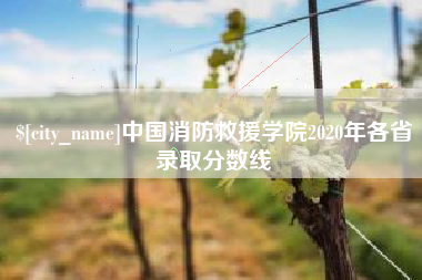绥化中国消防救援学院2020年各省录取分数线