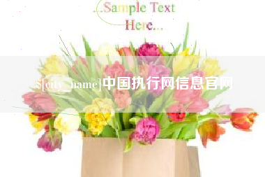 绥化中国执行网信息官网