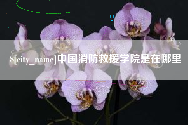 绥化中国消防救援学院是在哪里