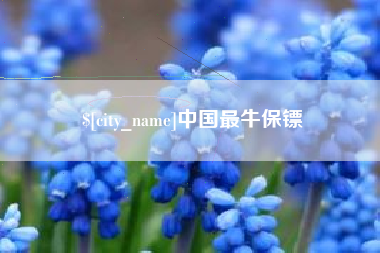 绥化中国最牛保镖