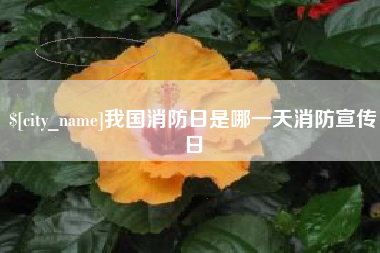 绥化我国消防日是哪一天消防宣传日