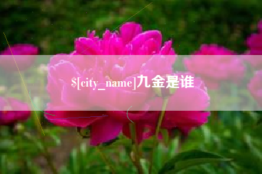绥化九金是谁