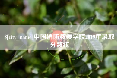 绥化中国消防救援学院2019年录取分数线