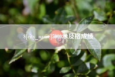 绥化5000米及格成绩