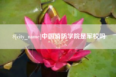 绥化中国消防学院是军校吗