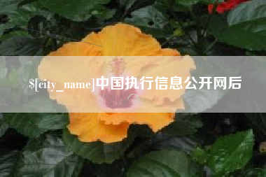 绥化中国执行信息公开网后