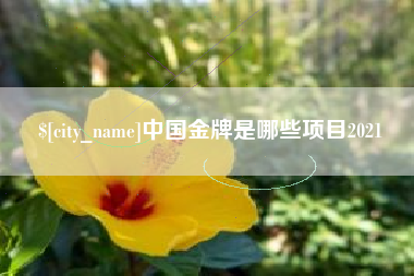 绥化中国金牌是哪些项目2021