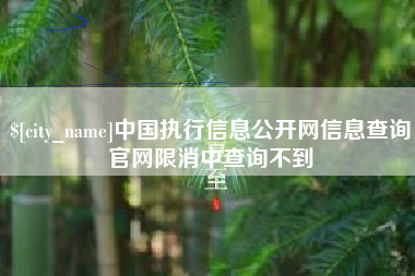 绥化中国执行信息公开网信息查询官网限消中查询不到