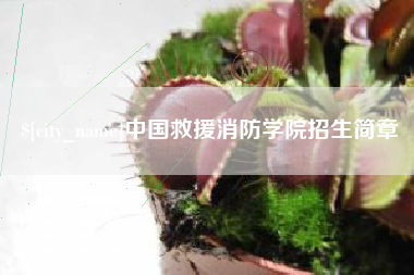 绥化中国救援消防学院招生简章