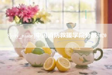 绥化中国消防救援学院分数2020