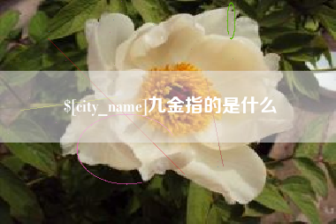 绥化九金指的是什么