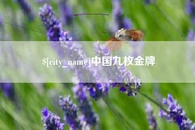 绥化中国九枚金牌