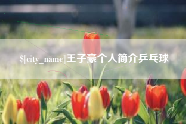 绥化王子豪个人简介乒乓球