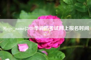 绥化2020年消防考试网上报名时间