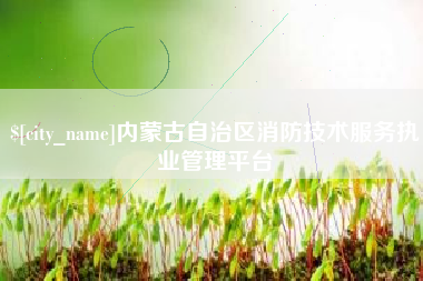 绥化内蒙古自治区消防技术服务执业管理平台