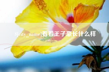 绥化看看王子豪长什么样