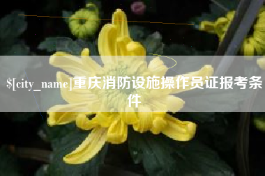 绥化重庆消防设施操作员证报考条件