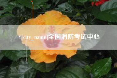 绥化全国消防考试中心