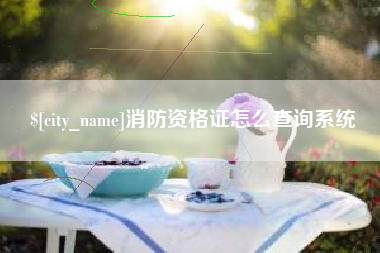 绥化消防资格证怎么查询系统