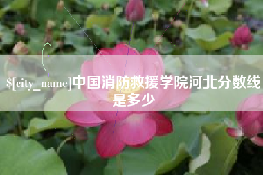 绥化中国消防救援学院河北分数线是多少