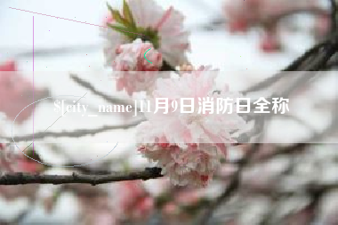 绥化11月9日消防日全称