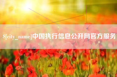 绥化中国执行信息公开网官方服务