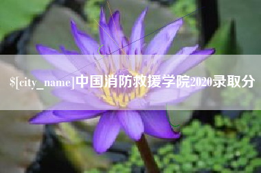 绥化中国消防救援学院2020录取分