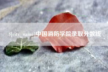 绥化中国消防学院录取分数线